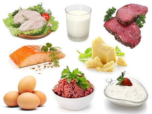 NHững thực phẩm giàu protein tốt cho phát triển cơ mô của bé